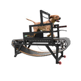 Dog Treadmill with Disc Brake, Resistance Adjustment, Paw-Friendly PE Slatmill & Speedometer - Heavy Duty Dog Treadmill for Large & Medium Dogs, Supports Up to 300 lbs, Easy to Move