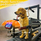 Dog Treadmill with Disc Brake, Resistance Adjustment, Paw-Friendly PE Slatmill & Speedometer - Heavy Duty Dog Treadmill for Large & Medium Dogs, Supports Up to 300 lbs, Easy to Move