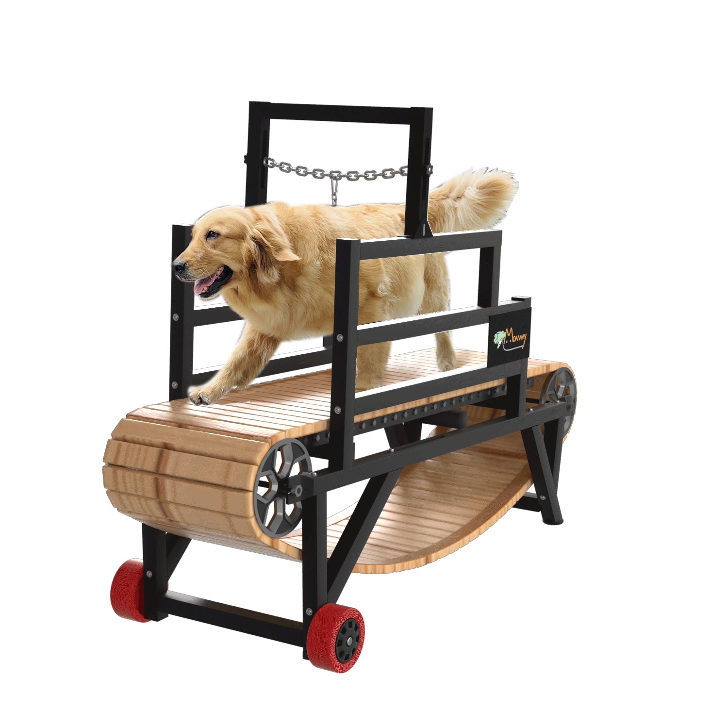 Dog Treadmill Medium – ToyMommy